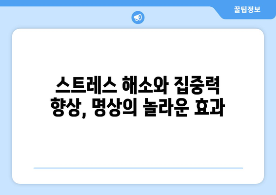 명상으로 마음의 평화를 찾고 자기계발하기